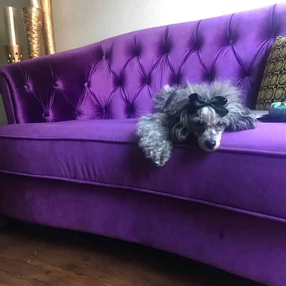 Meet your Posher, Gray - Picture 2 of 4